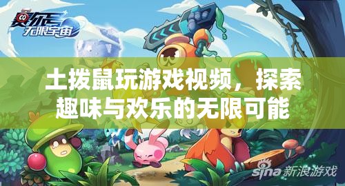 土撥鼠玩游戲，探索趣味與歡樂的無限可能