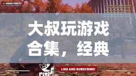 大叔游戲盛宴，經(jīng)典與懷舊交織的娛樂之旅