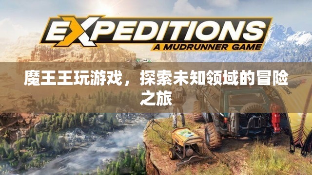 魔王王的游戲冒險(xiǎn)之旅，探索未知領(lǐng)域