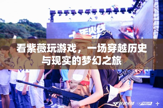 夢(mèng)幻之旅，看紫薇穿越歷史與現(xiàn)實(shí)的精彩游戲