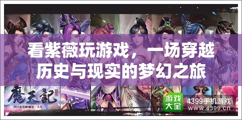 夢(mèng)幻之旅，看紫薇穿越歷史與現(xiàn)實(shí)的精彩游戲