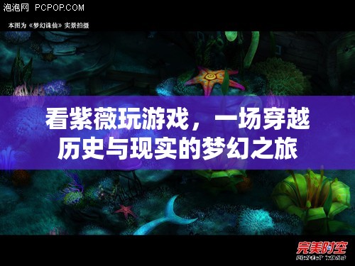 夢(mèng)幻之旅，看紫薇穿越歷史與現(xiàn)實(shí)的精彩游戲