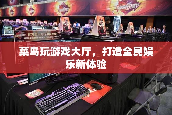 菜鳥玩游戲大廳，開啟全民娛樂新篇章