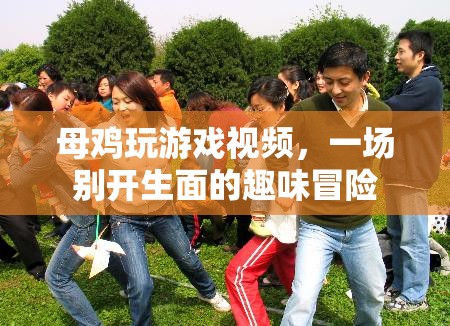 母雞趣味冒險(xiǎn)，游戲視頻中的別樣精彩