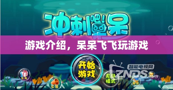 呆呆飛飛，趣味橫生的游戲之旅