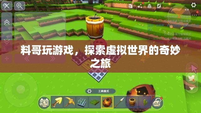 料哥探索虛擬世界的奇妙之旅