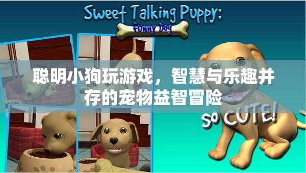 聰明小狗的寵物益智冒險(xiǎn)，智慧與樂趣的完美結(jié)合