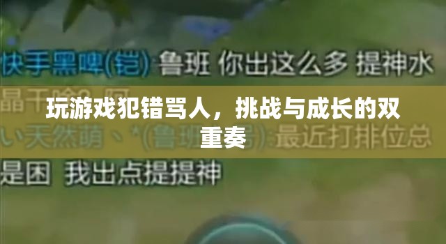游戲挑戰(zhàn)與成長(zhǎng)，從錯(cuò)誤中汲取力量，以罵名為動(dòng)力