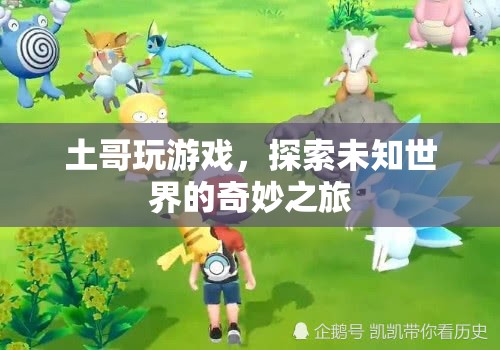 土哥探索未知世界的奇妙游戲之旅