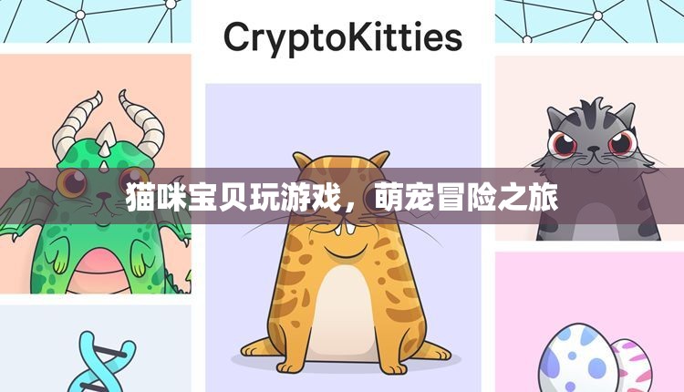 貓咪寶貝的冒險(xiǎn)之旅