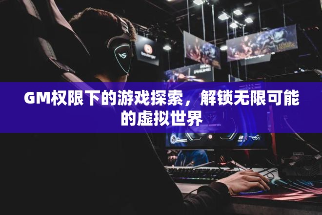GM權(quán)限下的游戲探索，解鎖虛擬世界的無限可能