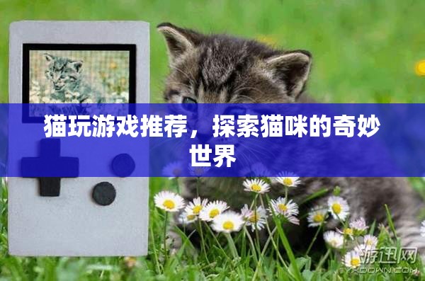 探索貓咪的奇妙世界，貓玩游戲推薦