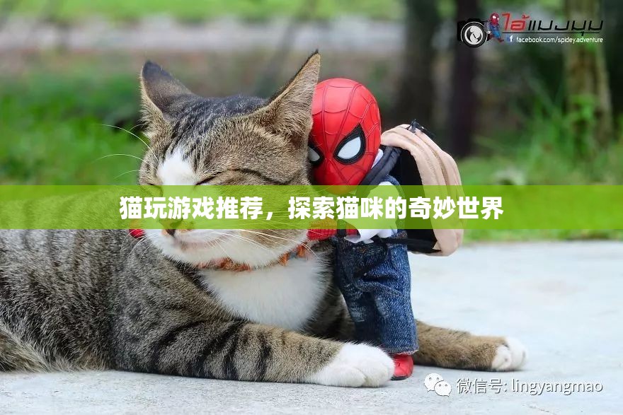 探索貓咪的奇妙世界，貓玩游戲推薦