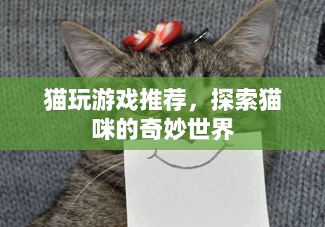 探索貓咪的奇妙世界，貓玩游戲推薦