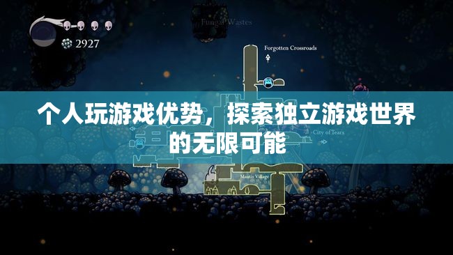 個(gè)人玩游戲，探索獨(dú)立游戲世界的無(wú)限可能