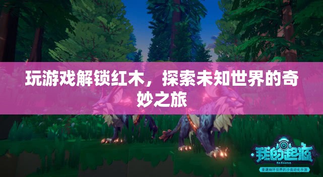解鎖紅木，探索未知世界的奇妙之旅
