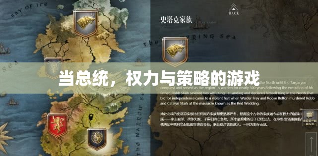 總統(tǒng)，權(quán)力與策略的游戲