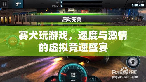 賽犬玩游戲，虛擬競速盛宴的速度與激情