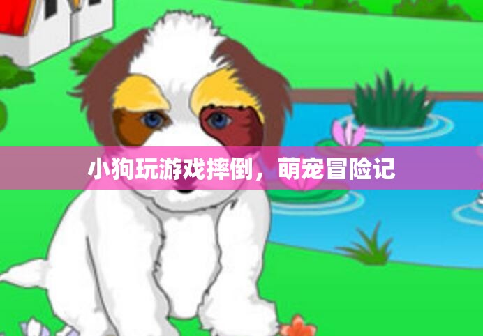 萌寵冒險(xiǎn)記，小狗玩游戲不慎摔倒