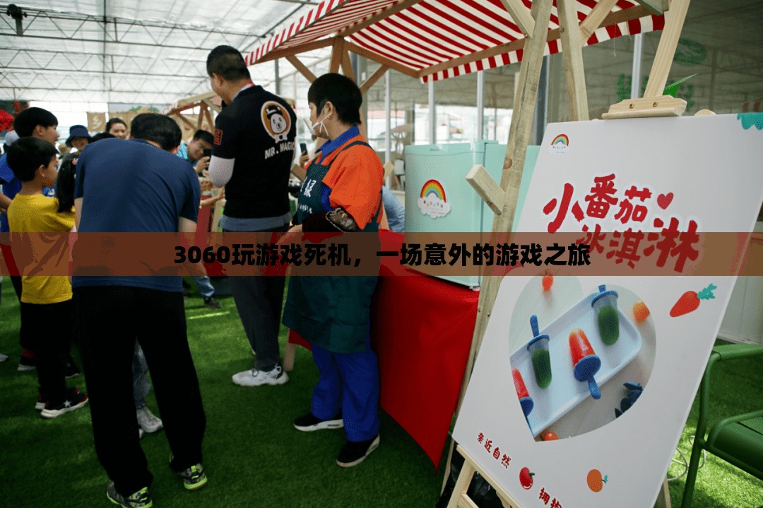 3060顯卡玩游戲死機(jī)，玩家遭遇意外游戲之旅