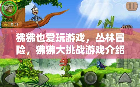 狒狒叢林冒險，大挑戰(zhàn)游戲來襲