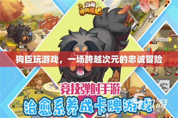 狗臣的跨界忠誠冒險，游戲與現(xiàn)實的交織之旅