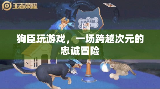 狗臣的跨界忠誠冒險，游戲與現(xiàn)實的交織之旅
