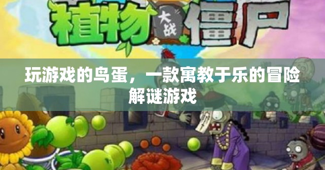 玩游戲的鳥蛋寓教于樂，冒險(xiǎn)解謎等你來挑戰(zhàn)！