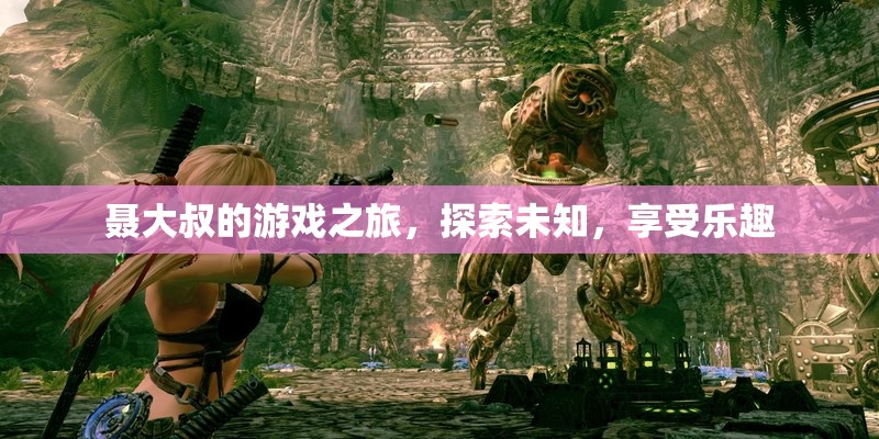 聶大叔的冒險(xiǎn)之旅，探索未知，盡享游戲樂趣