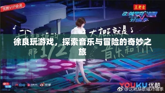 徐良游戲探索，音樂(lè)與冒險(xiǎn)的奇妙之旅