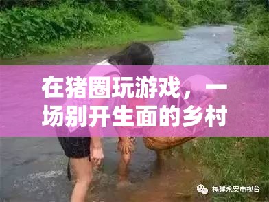 豬圈里的鄉(xiāng)村冒險(xiǎn)游戲