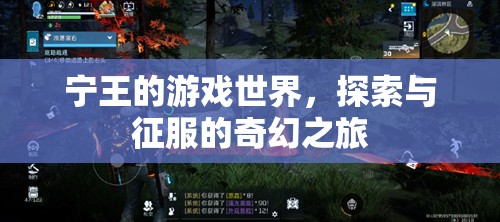 寧王的游戲世界，探索與征服的奇幻之旅