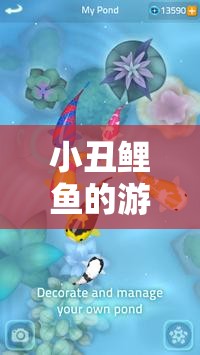 夢幻水下奇遇，小丑鯉魚的游戲冒險