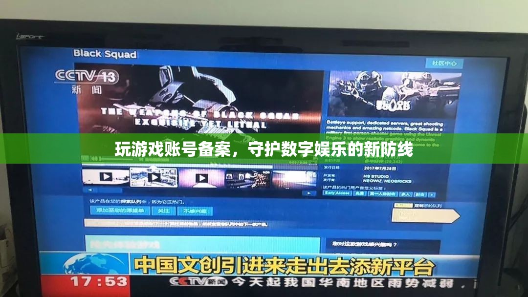 游戲賬號備案，守護數(shù)字娛樂的新防線