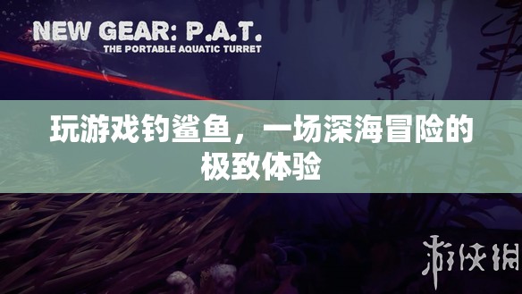 深海冒險，一場與鯊魚共舞的極致游戲體驗