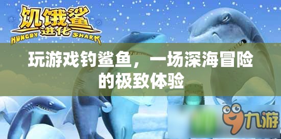 深海冒險，一場與鯊魚共舞的極致游戲體驗