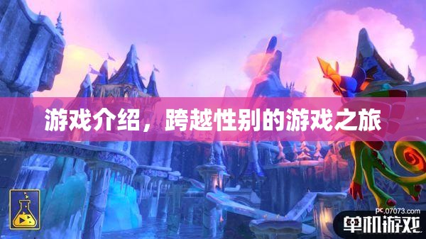 跨越性別的游戲之旅，探索未知的挑戰(zhàn)與冒險(xiǎn)