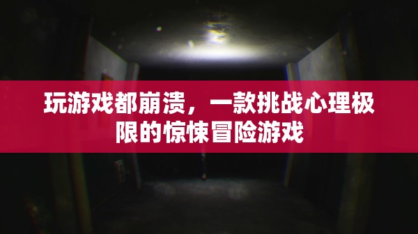 一款挑戰(zhàn)心理極限的驚悚冒險(xiǎn)游戲，玩游戲都崩潰  第2張