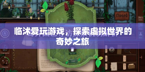 探索虛擬世界的奇妙之旅，臨沭的游戲之旅