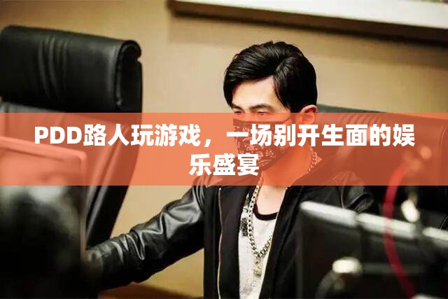PDD路人局游戲，打造娛樂(lè)盛宴