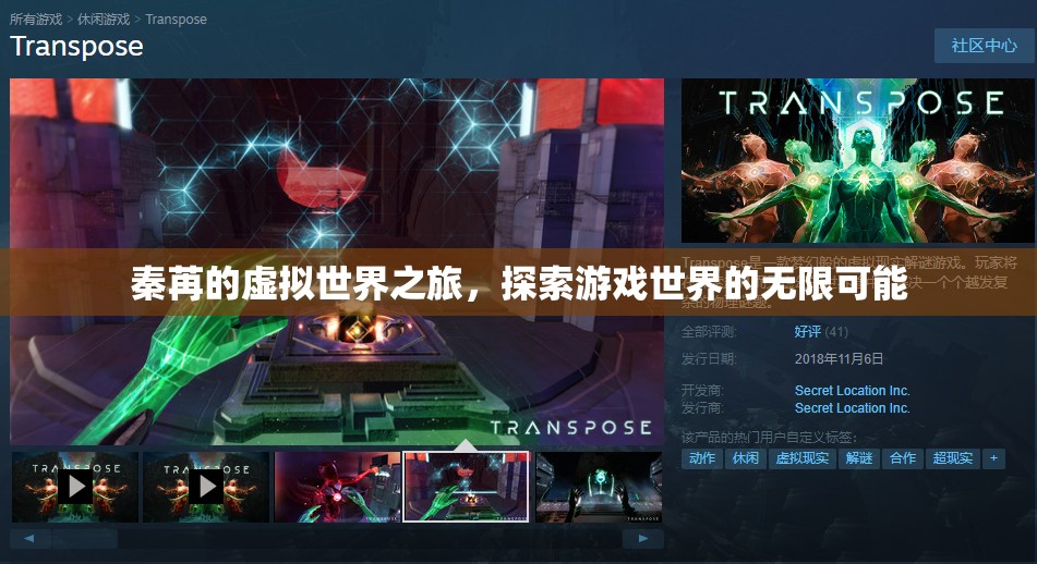 秦苒的虛擬世界之旅，探索游戲世界的無限可能