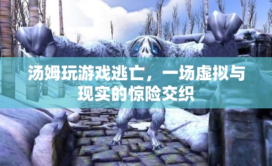 湯姆的虛擬逃亡，游戲與現(xiàn)實(shí)的驚險(xiǎn)交織