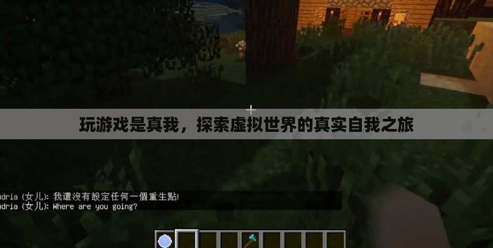 探索虛擬世界的真實(shí)自我之旅，游戲成為真我釋放的媒介