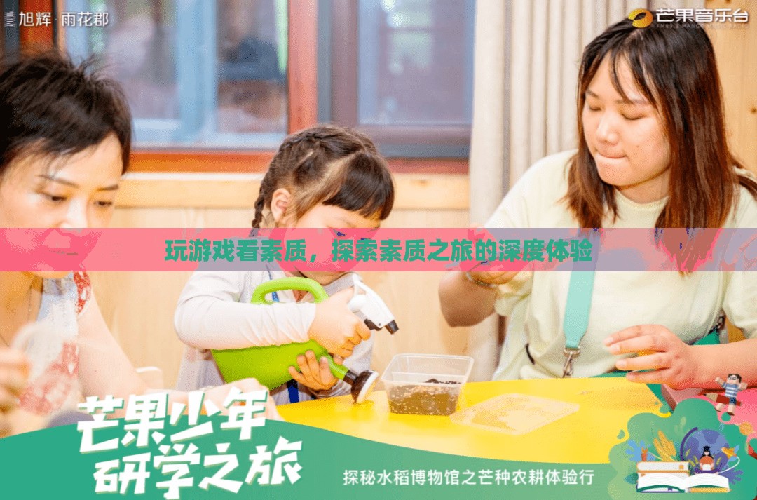 探索素質(zhì)之旅，深度體驗(yàn)游戲與素質(zhì)的關(guān)系