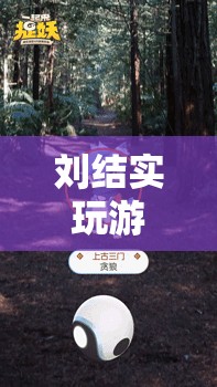 劉結(jié)實(shí)，探索虛擬世界的無限樂趣