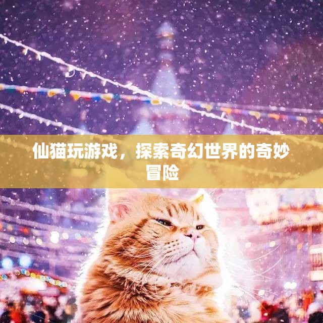仙貓游戲，奇幻世界的冒險(xiǎn)之旅