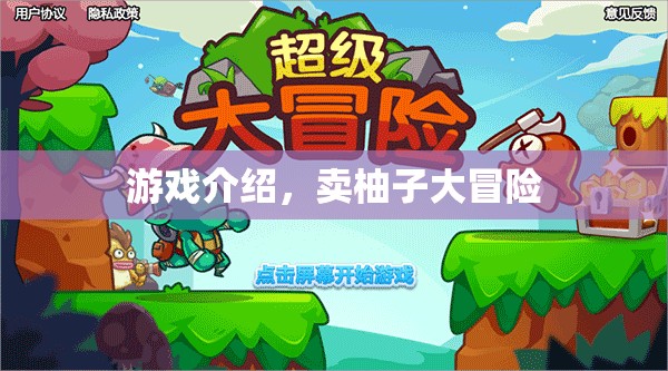 賣柚子大冒險，一場趣味橫生的游戲之旅