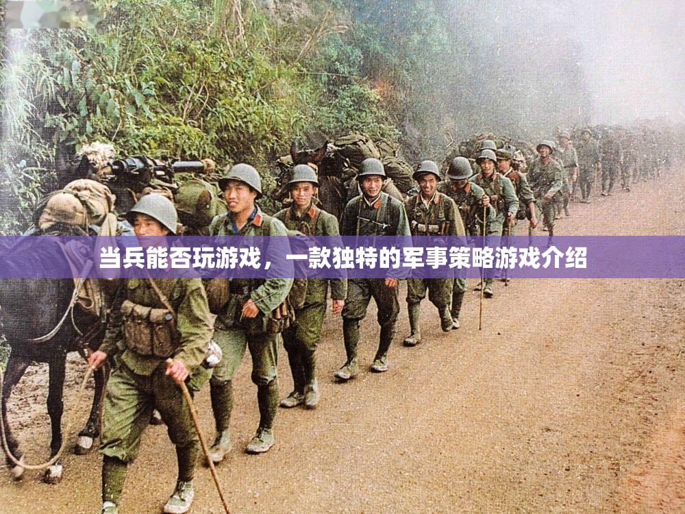 當兵能否玩游戲軍事策略游戲介紹