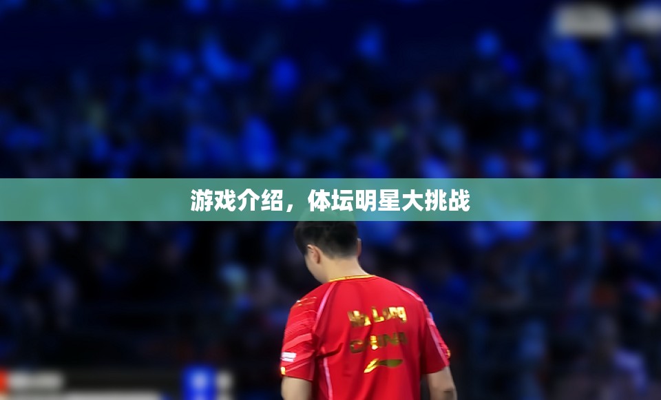 體壇明星大挑戰(zhàn)，游戲介紹