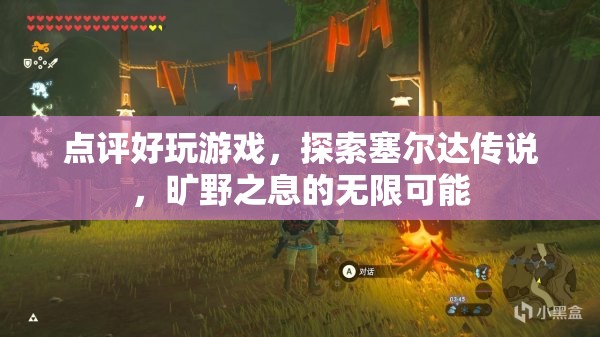 探索塞爾達傳說，曠野之息的無限可能，游戲點評與玩法探索
